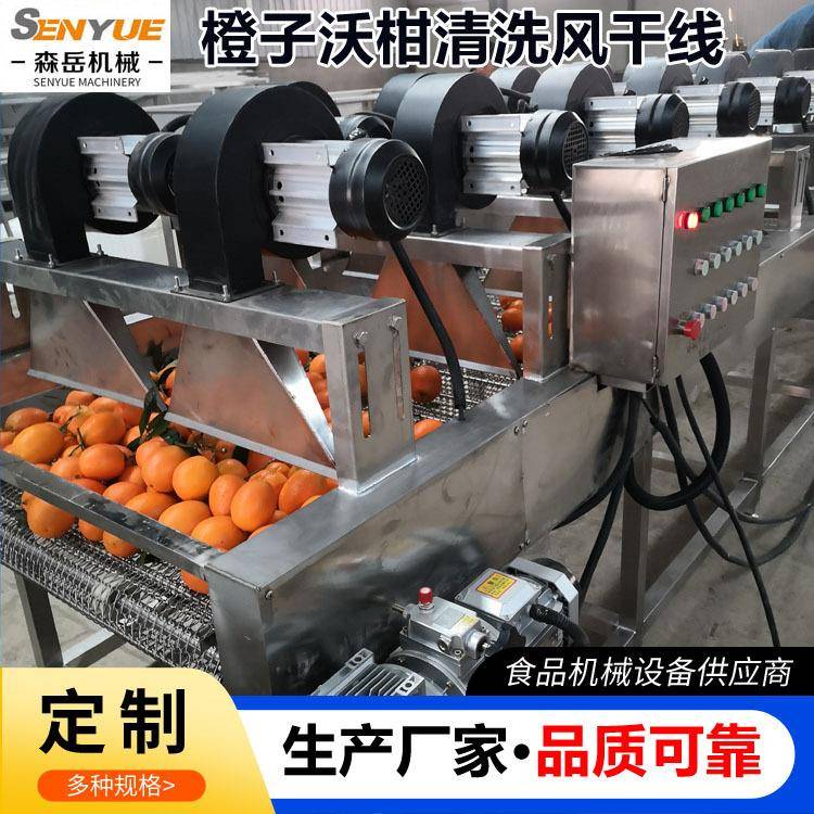 橙子清洗风干机果蔬清洗沥水机水果清洗打蜡烘干机包装袋吹干机