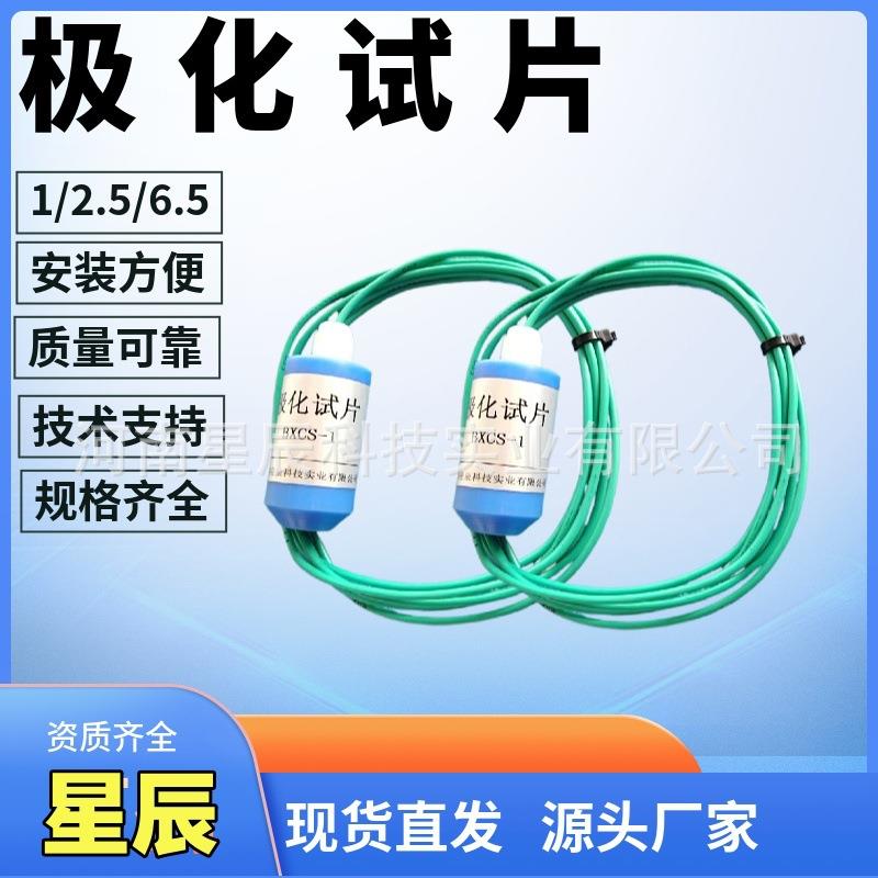 阴极保护检查片极化试片80号钢自腐蚀试片管道极化试片厂家