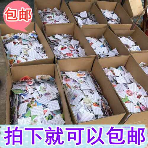 包邮513图案花色挂钩 无痕强力免钉粘胶粘钩门后厨房挂勾贴
