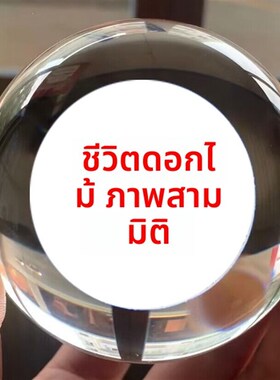 3D内雕生命g之花水晶球摆件家居饰品客厅酒柜送闺蜜朋友生日礼物