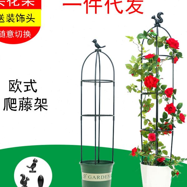 欧式园艺爬藤架月季花铁线莲花支架植物攀爬藤架阳台山乌龟支撑杆