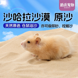新派宠物仓鼠浴沙尿砂二合一沙哈拉沙漠沙金丝熊浴室除臭洗澡沙
