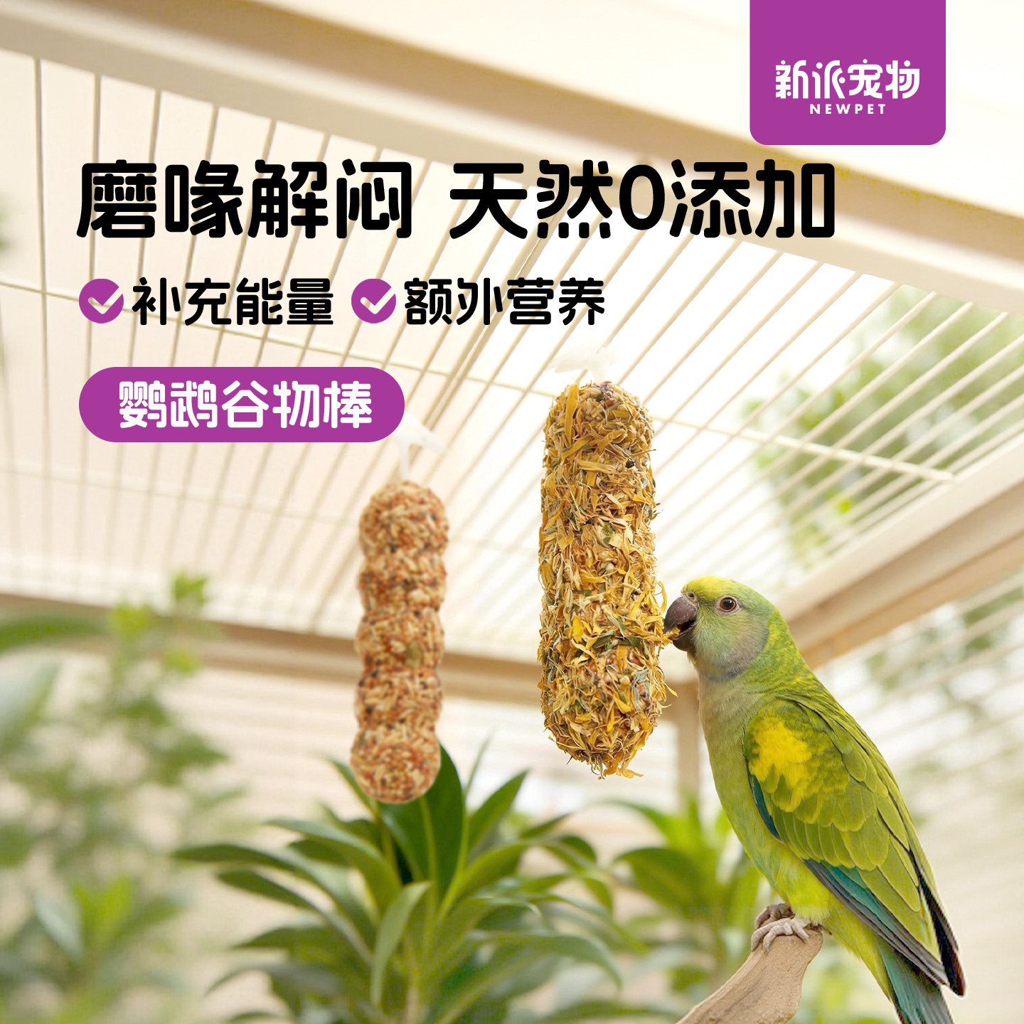 新派宠物鹦鹉谷物棒坚果草籽花草磨牙棒玄凤鸟零食磨喙解压啃咬棒,宠物/宠物食品及用品,鸟零食,淘宝优惠券,粉丝福利购,淘宝优惠卷