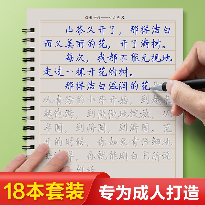 正楷字帖基础入门速成凹r槽练字本成人初高中生硬笔书法楷书练字