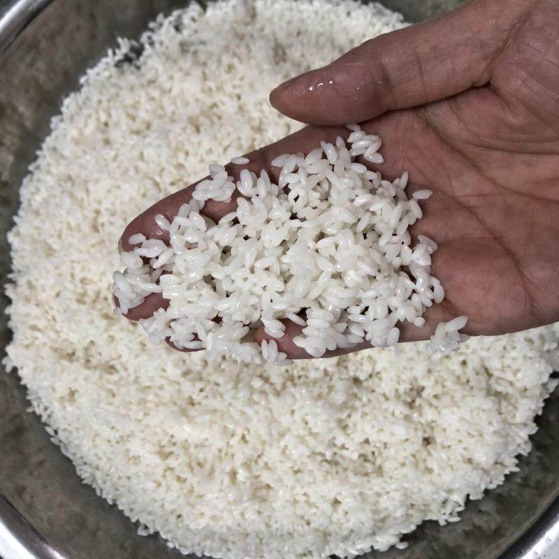 泡水大米磨粉机 不锈钢齿盘粉碎机齿爪式玉米浆粉蛋白粉打粉设备,机械设备,粉碎机,淘宝优惠券,粉丝福利购,淘宝优惠卷