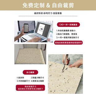 地垫入户门垫轻奢现代进门地毯高级感免洗门口脚垫大门口可裁剪垫