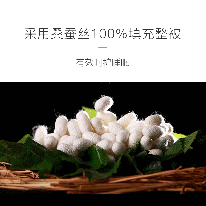 DOWNIA蚕丝被100桑蚕丝100支天丝可水洗空调被春秋被夏凉被薄被子