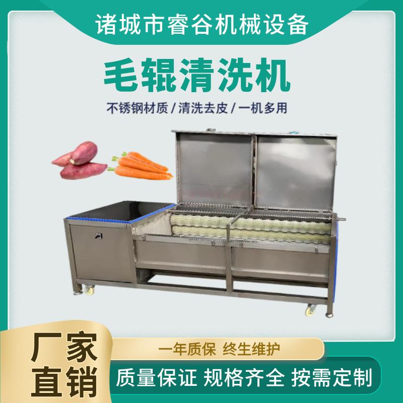 毛辊清洗机 商用毛刷去鱼鳞鱼食品厂用 毛刷自动清洗机不锈钢材质