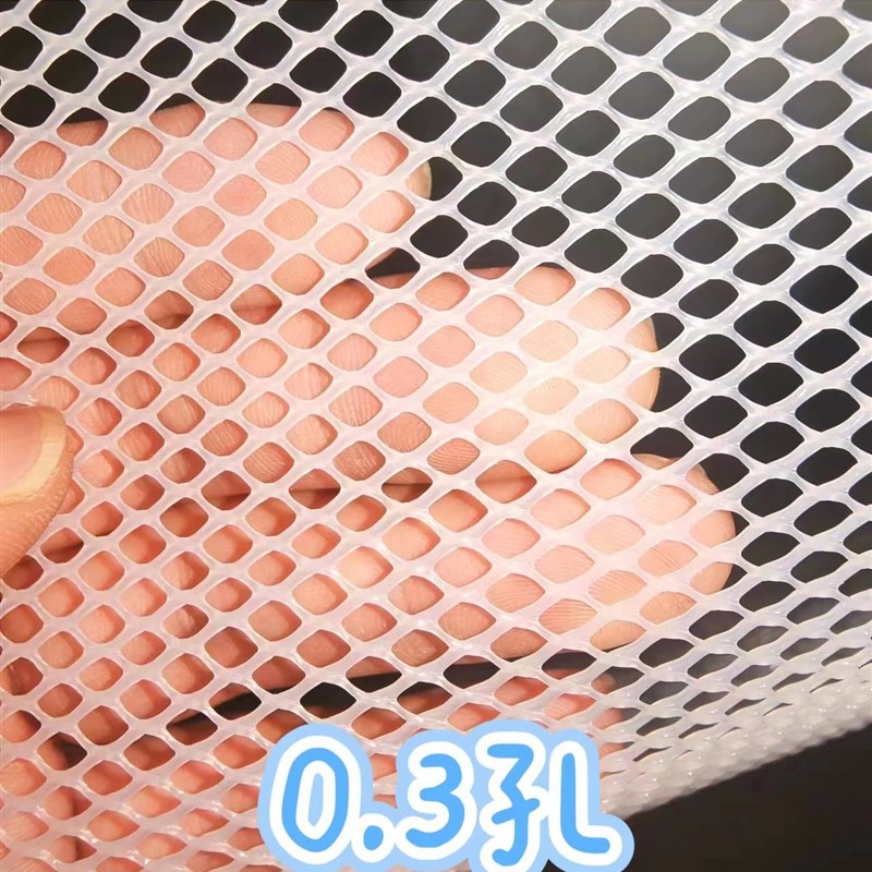 盛邦荣片垫网网网胶塑料漏鹅围栏网网粪养殖苗床鸡鸭网格育