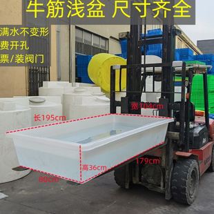 600L盆长2米宽1米方盆平底牛筋浅盆水产养殖箱大号植物种植箱储水