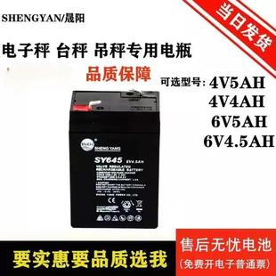 SHENGYANG晟陽蓄電池 6V4AH 玩具車童車 電子稱用電瓶6v4.5 SY640