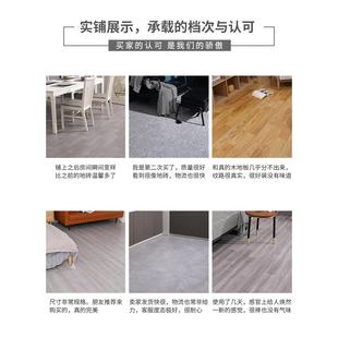 地毯臥室客廳地墊大面積整鋪辦公室高級感ins風少女加厚房間地毯
