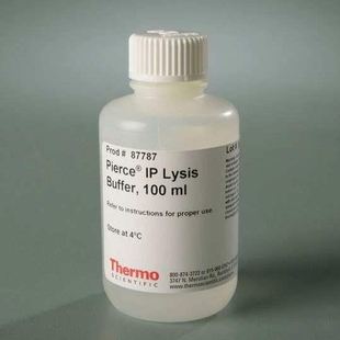 5020A_FRE赛默飞5000系列微粒悬浮液 15ml 200nm 10%固体