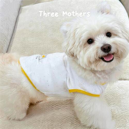 Three Mothers原创宠物冰淇淋背心透气比熊泰迪小型犬猫狗春夏款