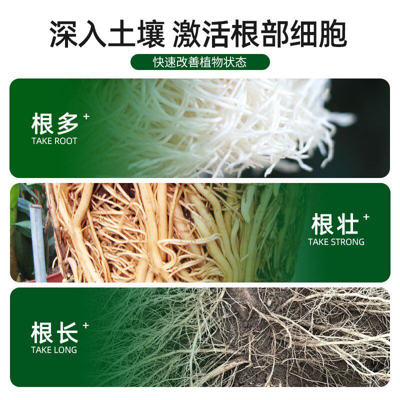 营养液植物通用型树木移栽壮苗专用肥料强力生根剂大树复活营养液