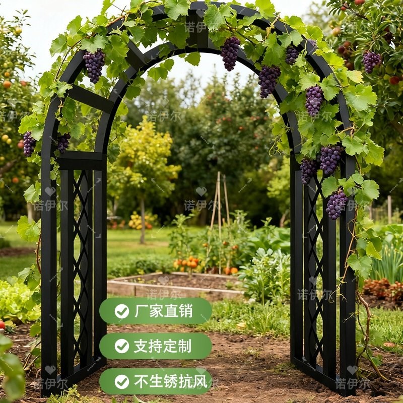新款爬藤架拱门园艺拱门花架花园公园庭院别墅植物攀爬支架月季架