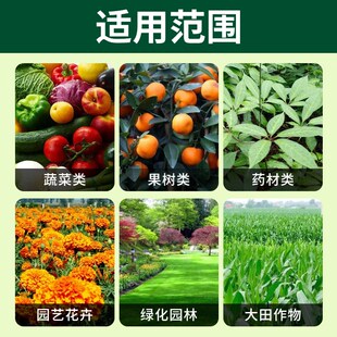 施美特氨基酸叶面肥一喷绿微量元素水溶肥料农用果树蔬菜花卉5KG