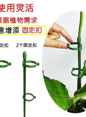 家里种菜种花需要它!植物固定防倒伏支撑杆!园艺盆栽护叶扶持架