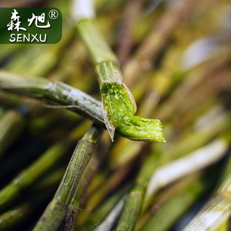 新鲜铁皮石斛条1斤乐清雁荡山种植500g生长花4年浙江铁皮枫斗鲜品