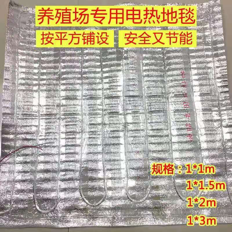 自制大型水床孵化器小鸡鹌鹑鸽子蛋孵化机自动控温小型孵化孵蛋器