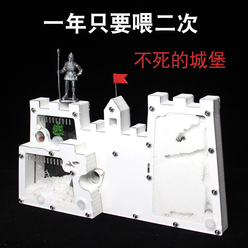 免装版蚂蚁城堡蚂蚁工坊送蚁后卵学生观察生态蚁巢箱室屋家园巢穴