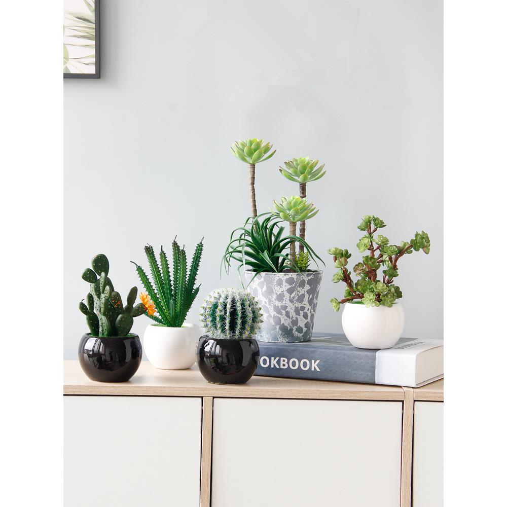 创意室内桌面假花仿真绿植装饰摆件家居茶几植物盆栽仙人掌盆景