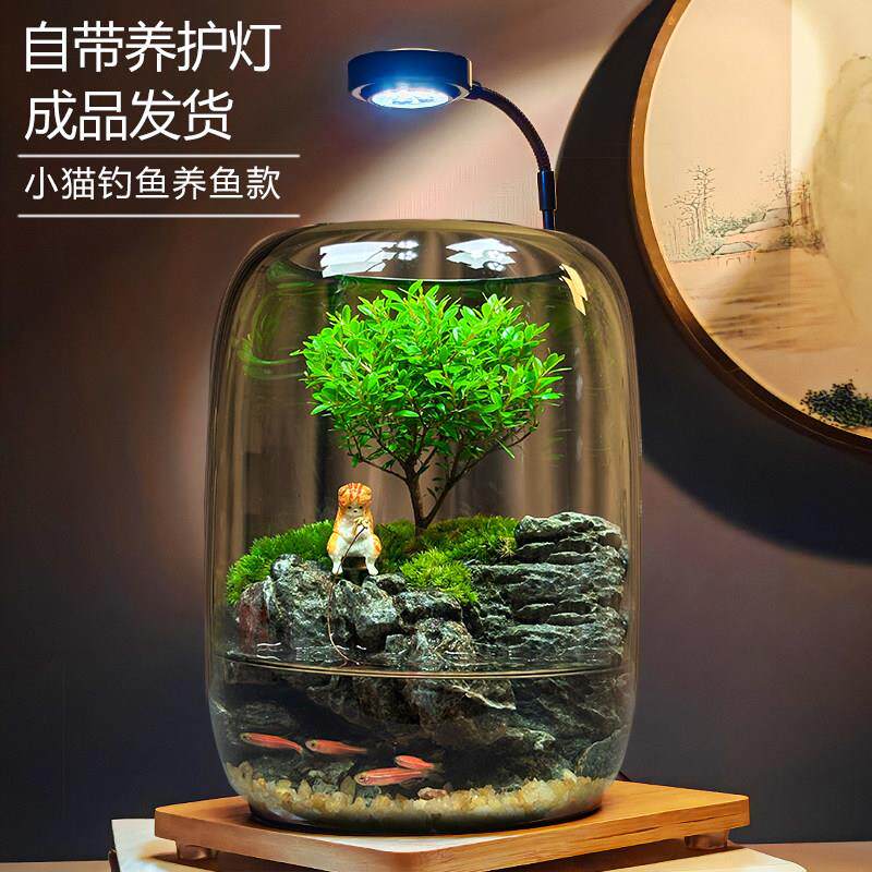 【年年有鱼】创意苔藓微景观办公室生态缸鱼缸桌面生态瓶摆件成品
