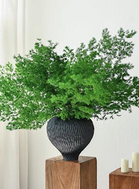 绿色蓬莱松永生花高级感真花干花花束天然风干鲜花干树枝花瓶插花