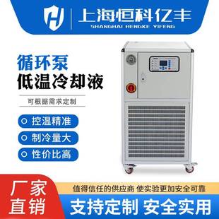 低温冷却液循环泵DLSB实验室制冷低温泵制冷机低温泵