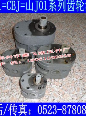 厂25 25 山-010X0X 25X25O*面 5025J磨床25/7035平1W齿轮油泵1