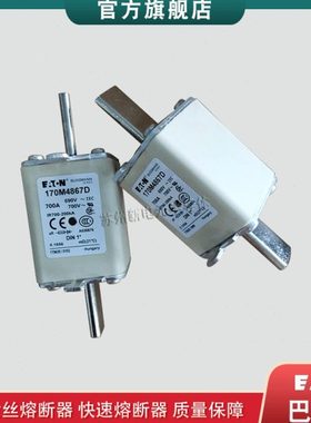 170M4863D 4864D 4865D 4866D 4867D 巴斯曼快速熔断器保险丝