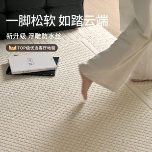 客厅地毯奶油风沙发茶几垫硅藻丝免洗可擦防水防污轻奢高级床边毯