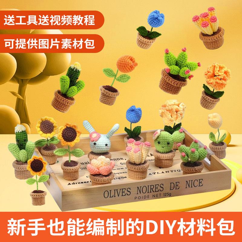 亚马逊热款钩针材料包植物系列精纺团线编织DIY摆件支持