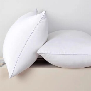 抱枕芯儿内胆内芯靠垫芯45x45 30x50 50x50腰T枕心沙发客厅靠枕芯