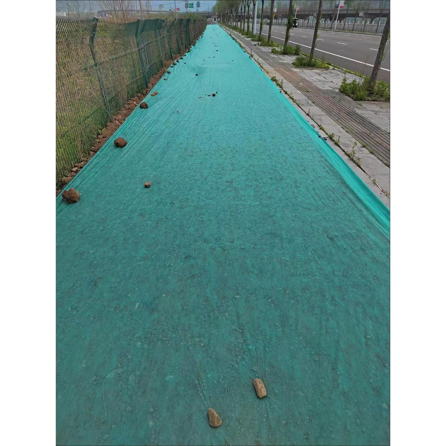 园林绿化边坡无纺布覆盖草坪草籽保湿绿色种植道路护坡防尘布透气