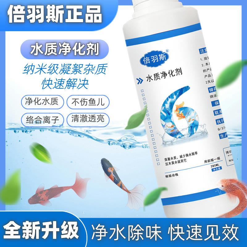 倍羽斯6号 观赏鱼缸水浑浊立清净水剂水立清净化剂鱼缸免换水
