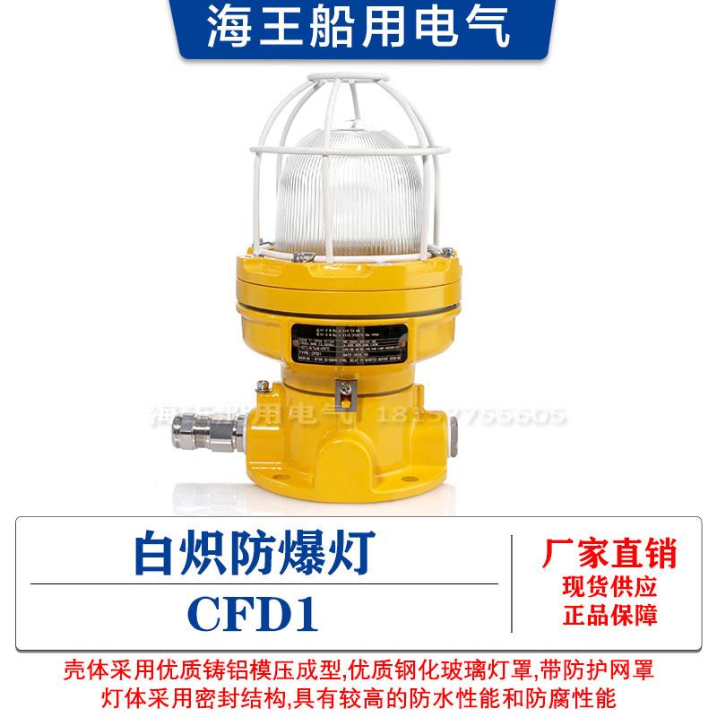 船用优质白炽LED防爆灯CFD1/3/4/11钢化玻璃灯罩铝铜不锈钢CCS证