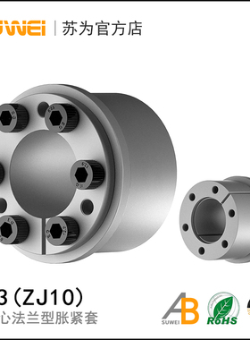 Z13欧标胀套涨紧套FX50胀紧套RFN7007涨套RLK131免键轴套KTR201