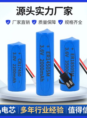 ER14505/18505M智能水表电池CwR17505/17450 IC插卡水表锂3V/3.6V