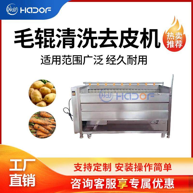洋葱清洗剥皮机毛辊洗姜机芋头水果根茎类蔬菜清洗去皮设备不伤皮,清洗/食品/商业设备,其他食品加工设备,淘宝优惠券,粉丝福利购,淘宝优惠卷