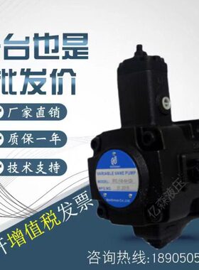 量台湾/40/7/--NC1P变/36北部精2614/-F叶片泵//机30301923/V122