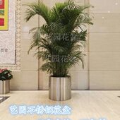 花桶花钵户外花箱售楼部定制金属圆形花器广场花器花槽不锈钢花盆