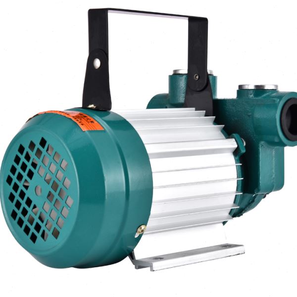 NN0I大功率抽油泵12V24V220V伏油泵柴油抽油机抽油器加油机加