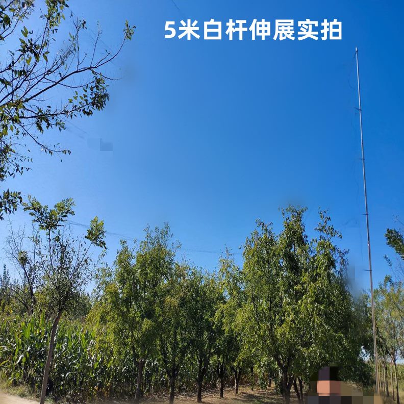 天幕加厚眉抄网杆3杆户外超硬地插全套鸟网6画撑竿不锈钢米伸缩45