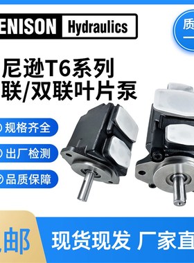 丹尼逊叶片泵T6C T6D T6E 单联 T6CC T6DC T6EC T6ED双联高压油泵