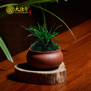 绿萝等小盆栽 适合养金钱草 菖蒲盆 多肉植物紫砂花盆无孔水培盆