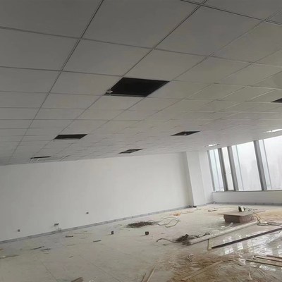 轻钢龙骨石膏板隔墙吊顶厂房办公室天花板吊顶洁净矿棉板烤漆龙骨