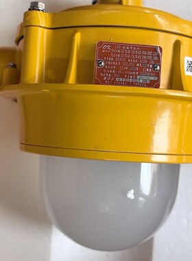 海洋王BPC8767C LED防爆平台灯 型号BPC8767