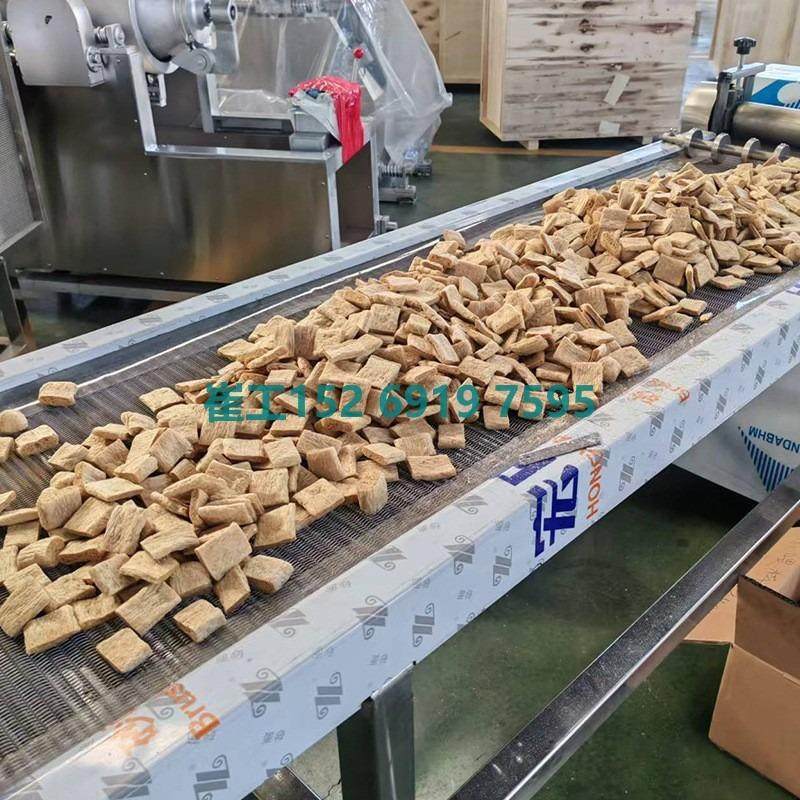 大豆拉丝蛋白膨化机 组织蛋白烘干机 人造蛋白素肉加工PLC控制,清洗/食品/商业设备,休闲食品加工设备,淘宝优惠券,粉丝福利购,淘宝优惠卷