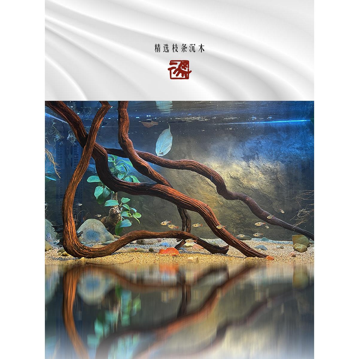 尔玛南美水池景观紫色柚木树枝彩色埃及鱼缸装饰避免下沉木条树木